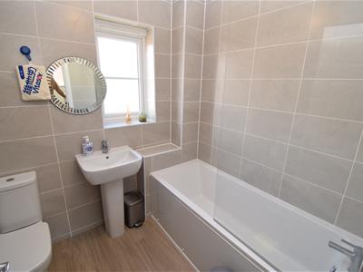 Picture 20